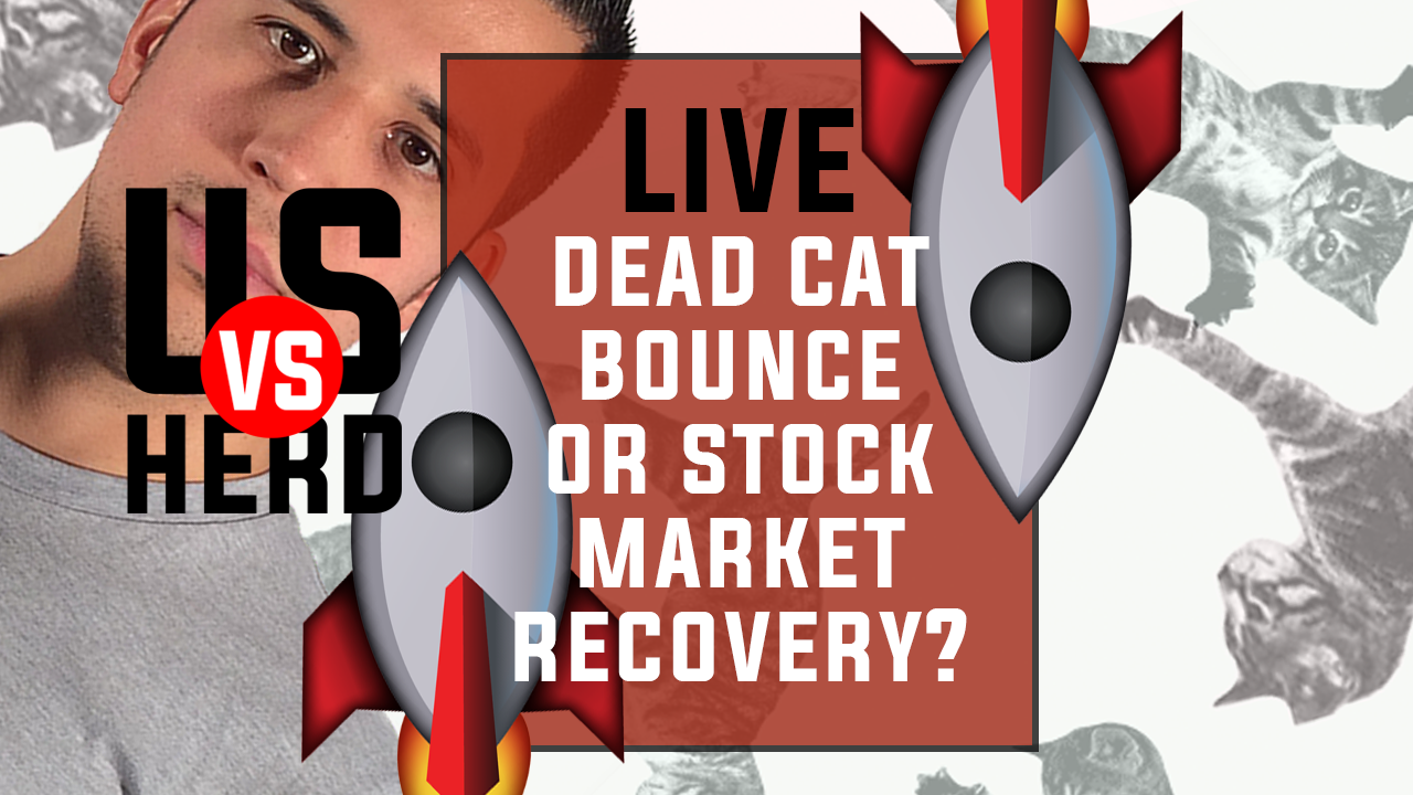 Dead Cat Bounce Or Stock Market Recovery? – Options Trading Strategies