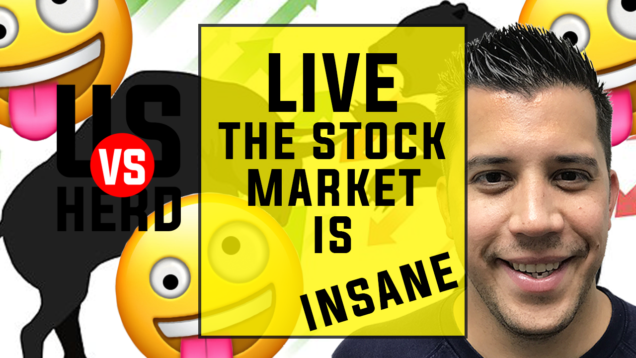The Stock Market Is Insane – Options Trading Strategies